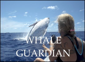 Whale Guardian
